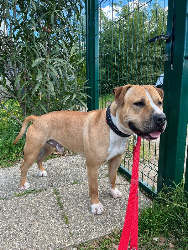 Pablo Pit Cerca Casa